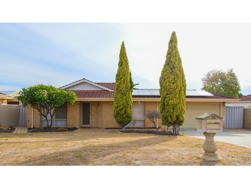 75 HILLCREST ROAD, Alexander Heights WA 6064