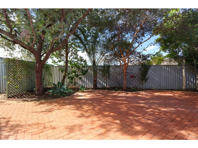 8 TOWERHILL ROAD, Alexander Heights WA 6064