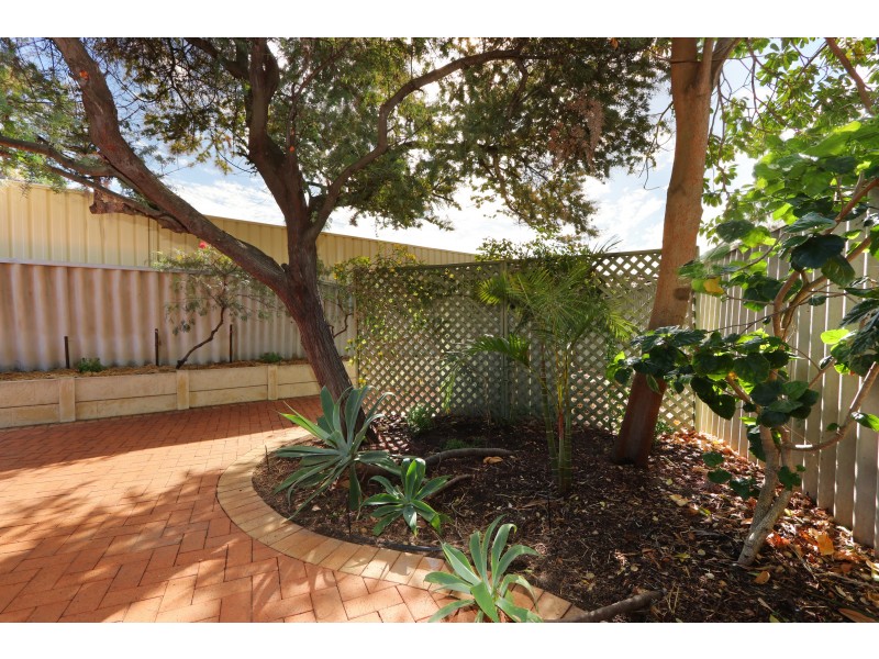 8 TOWERHILL ROAD, Alexander Heights WA 6064