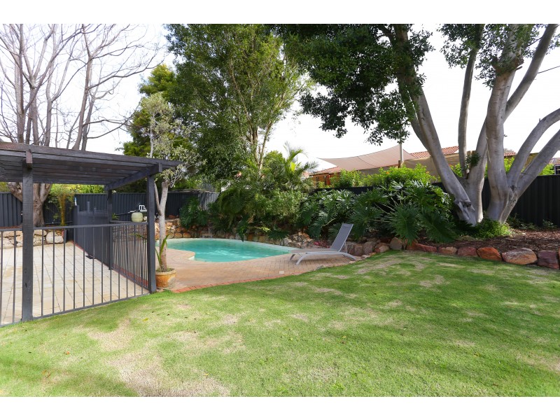 215 ALEXANDER DRIVE, Alexander Heights WA 6064