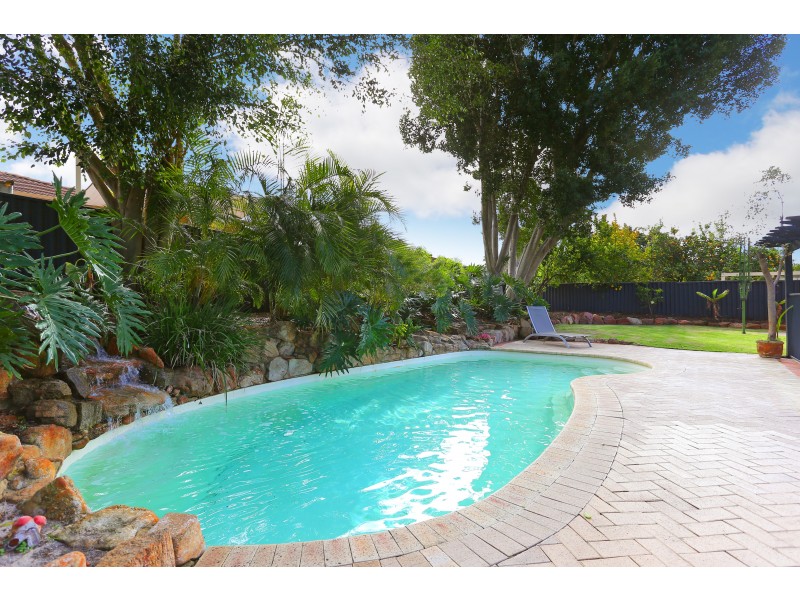 215 ALEXANDER DRIVE, Alexander Heights WA 6064