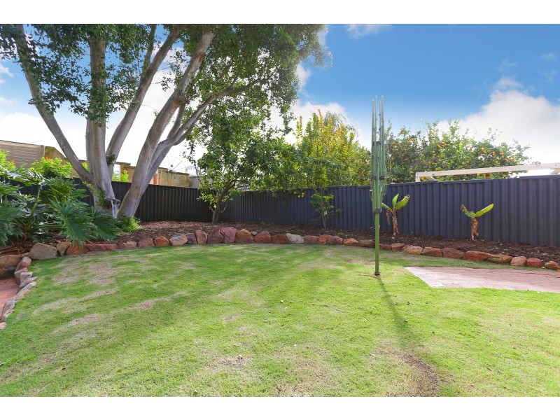 215 ALEXANDER DRIVE, Alexander Heights WA 6064