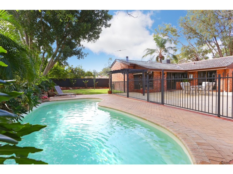 215 ALEXANDER DRIVE, Alexander Heights WA 6064