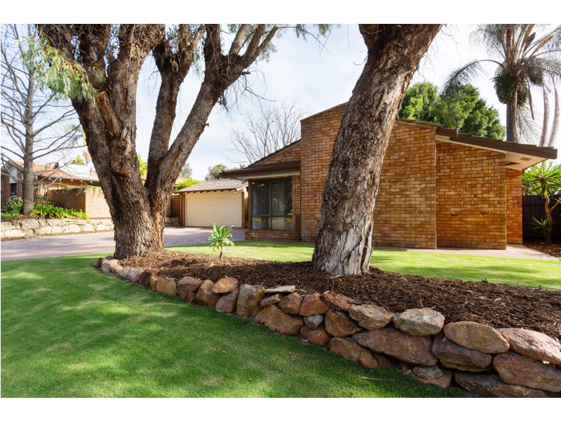 215 ALEXANDER DRIVE, Alexander Heights WA 6064