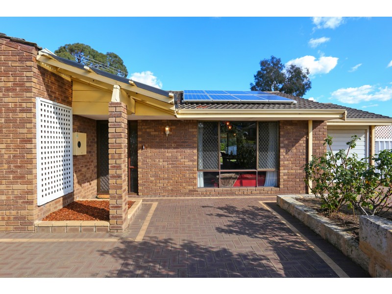 19 NEWGATE STREET, Alexander Heights WA 6064