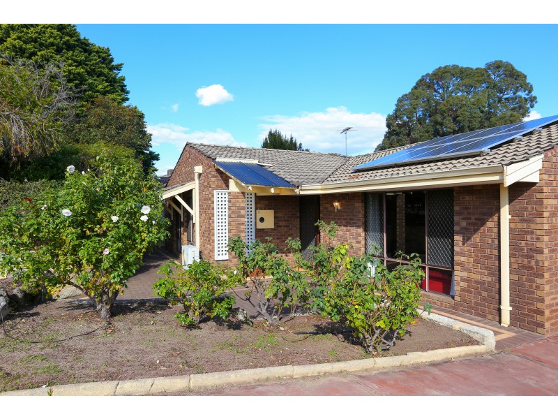 19 NEWGATE STREET, Alexander Heights WA 6064