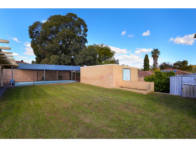 19 NEWGATE STREET, Alexander Heights WA 6064