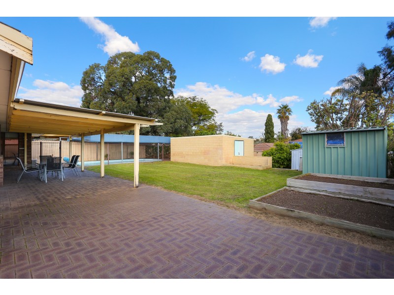 19 NEWGATE STREET, Alexander Heights WA 6064