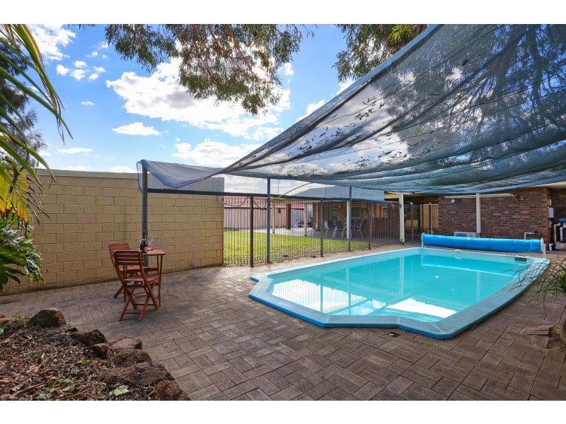 19 NEWGATE STREET, Alexander Heights WA 6064