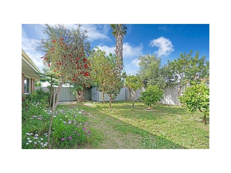 53 BURNHAM WAY, Girrawheen WA 6064