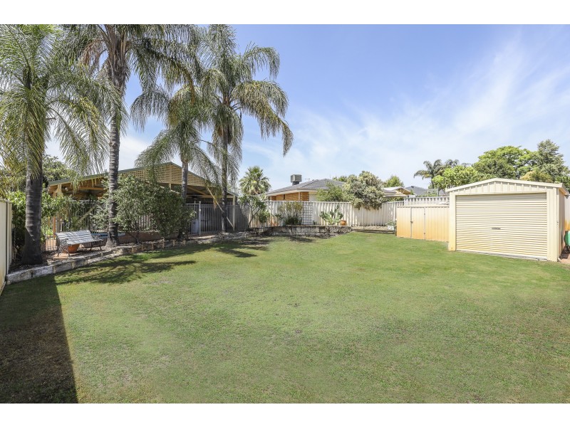 31 BERMUDA DRIVE, Ballajura WA 6066