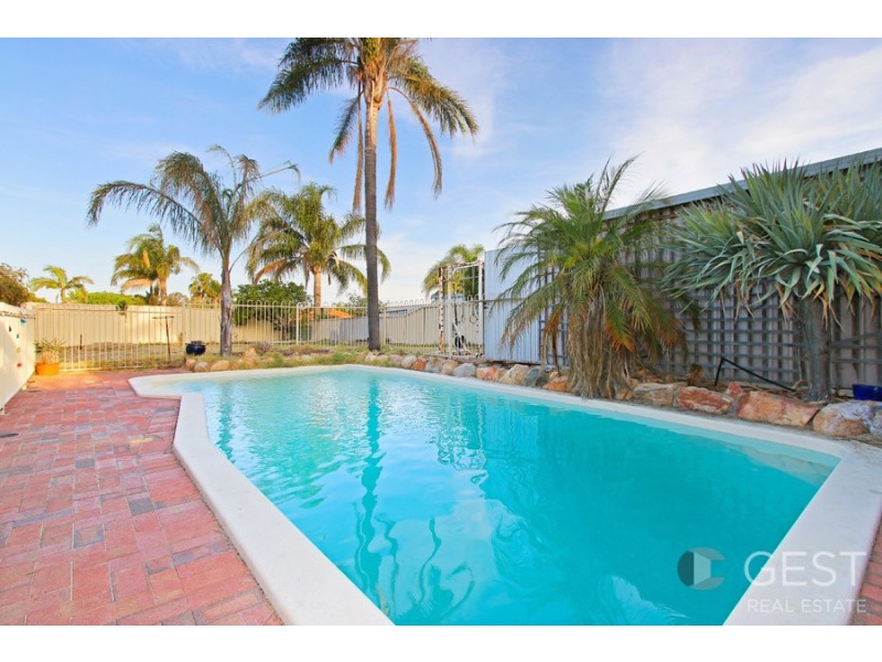 49 AVILA WAY, Alexander Heights WA 6064