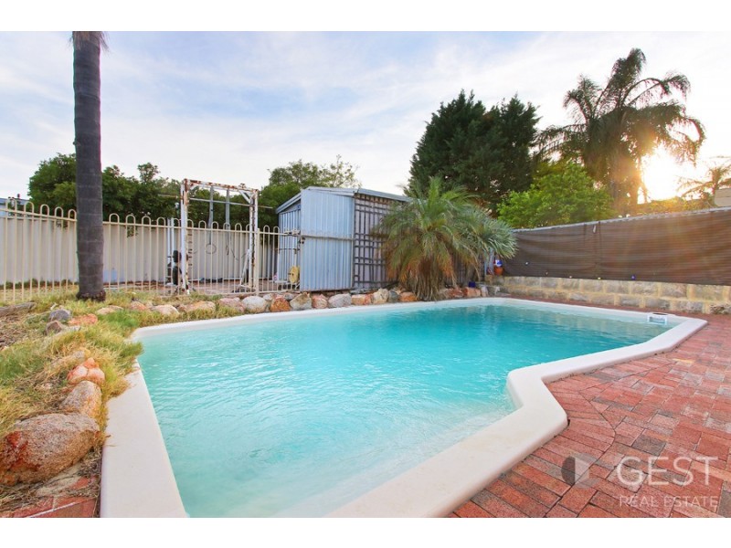 49 AVILA WAY, Alexander Heights WA 6064