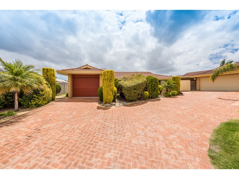 20A FEATHERTOP RISE, Alexander Heights WA 6064