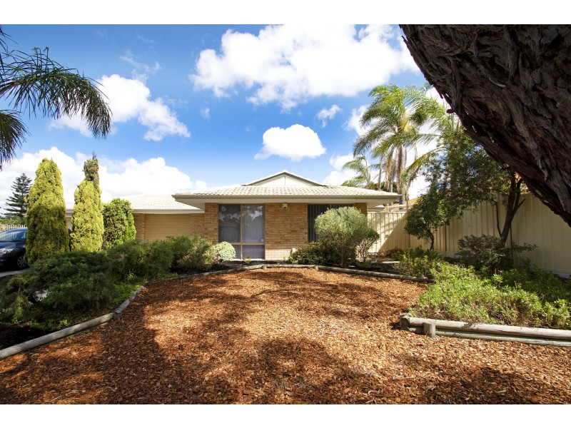 3A WHITCOMBE WAY, Alexander Heights WA 6064