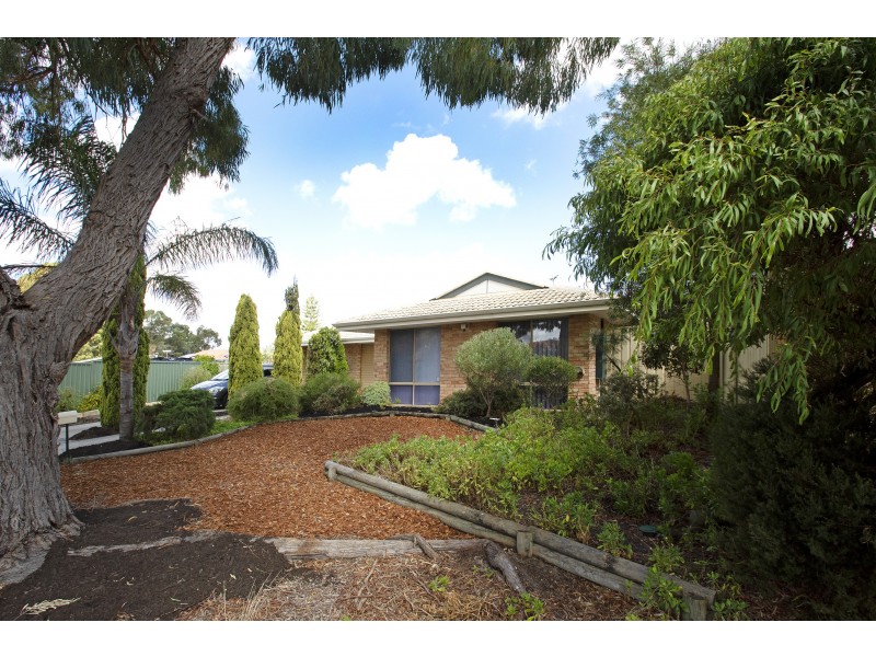 3A WHITCOMBE WAY, Alexander Heights WA 6064