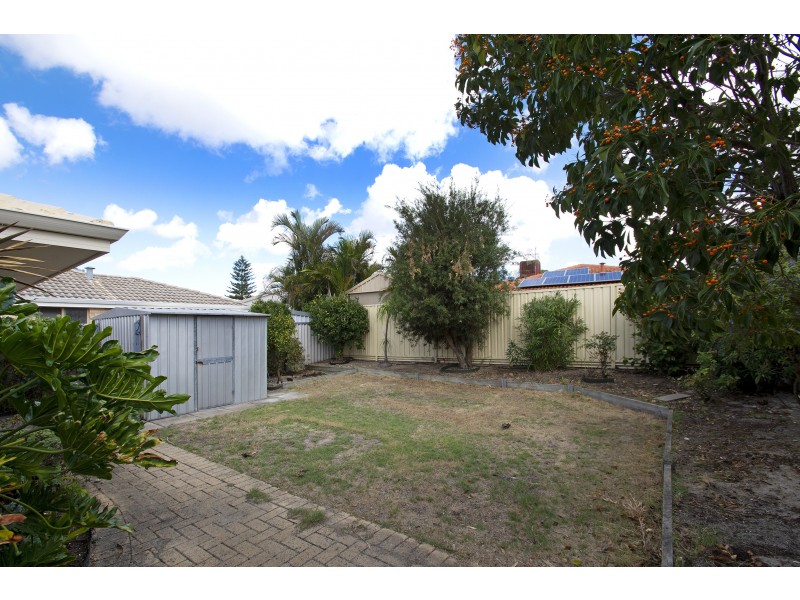 3A WHITCOMBE WAY, Alexander Heights WA 6064