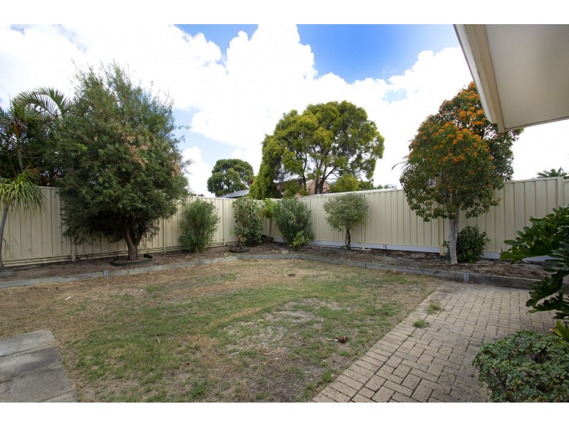 3A WHITCOMBE WAY, Alexander Heights WA 6064