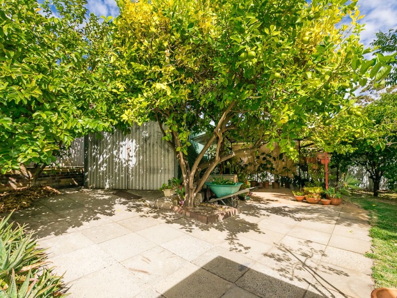 6 SITTANA PLACE, Beechboro WA 6063