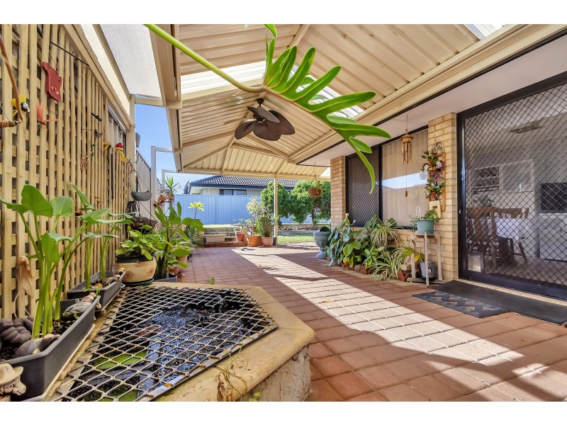 94 The Avenue, Alexander Heights WA 6064