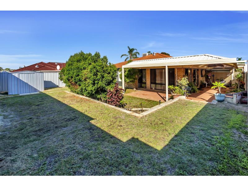 94 The Avenue, Alexander Heights WA 6064