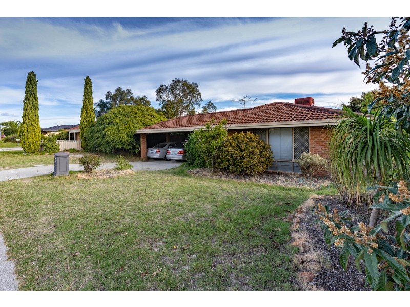 91 HILLCREST ROAD, Alexander Heights WA 6064