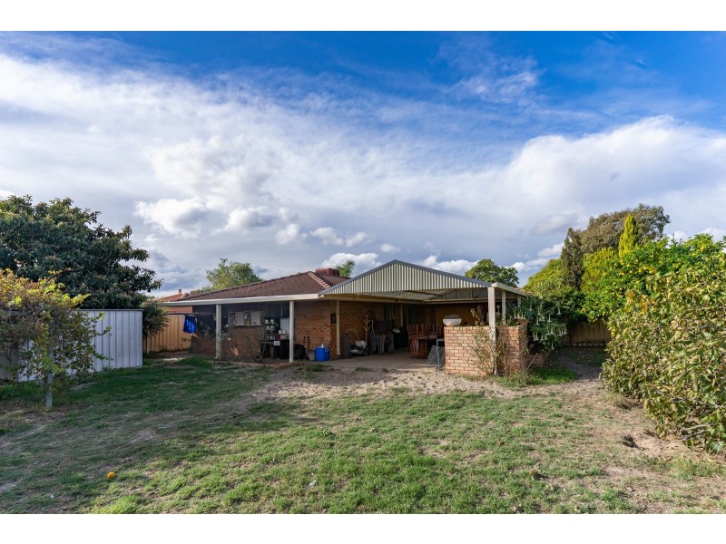 91 HILLCREST ROAD, Alexander Heights WA 6064