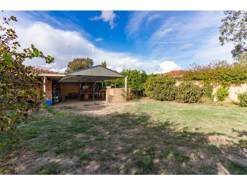 91 HILLCREST ROAD, Alexander Heights WA 6064