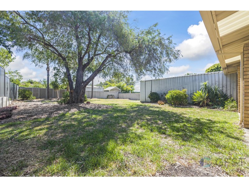 6 WILLIAMSON AVENUE, Belmont WA 6104