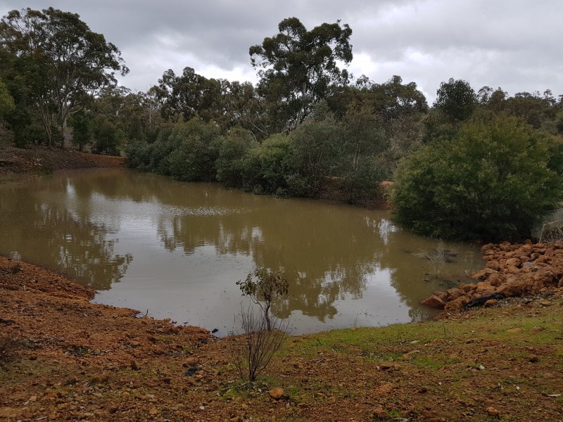 108 CONNEMARA DRIVE, Brigadoon WA 6069