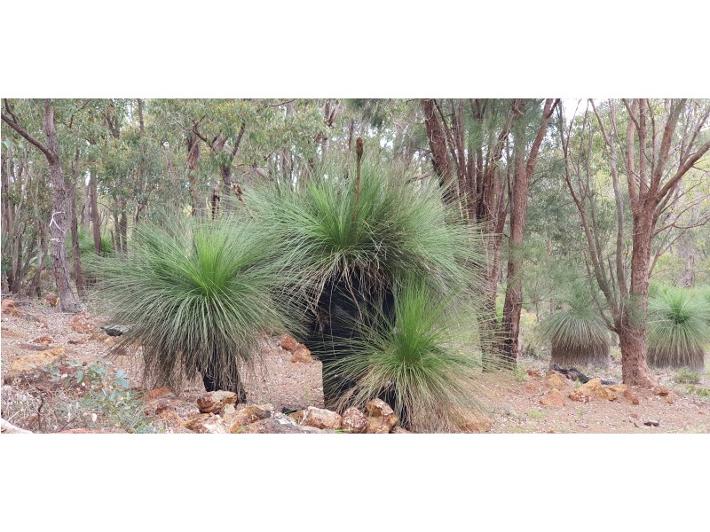 108 CONNEMARA DRIVE, Brigadoon WA 6069