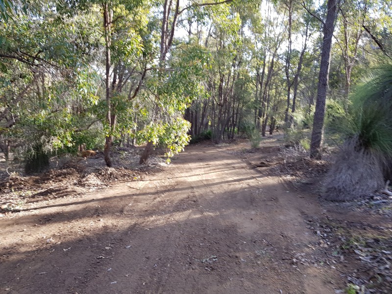 108 CONNEMARA DRIVE, Brigadoon WA 6069