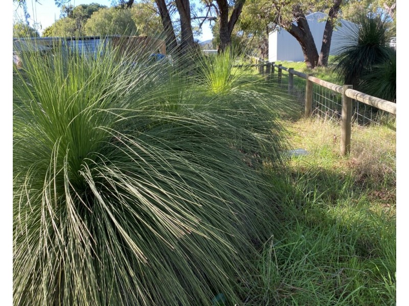 6 Bushel Road, Serpentine WA 6125