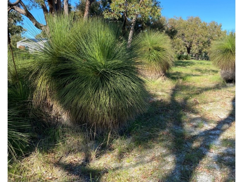 6 Bushel Road, Serpentine WA 6125
