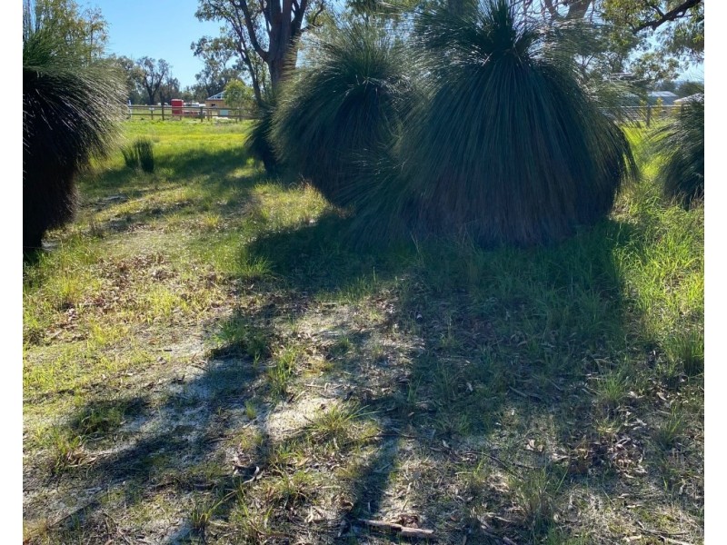 6 Bushel Road, Serpentine WA 6125