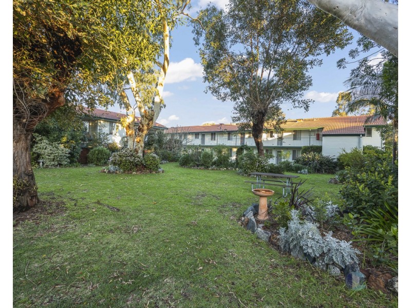 31/379 Hector Street, Yokine WA 6060