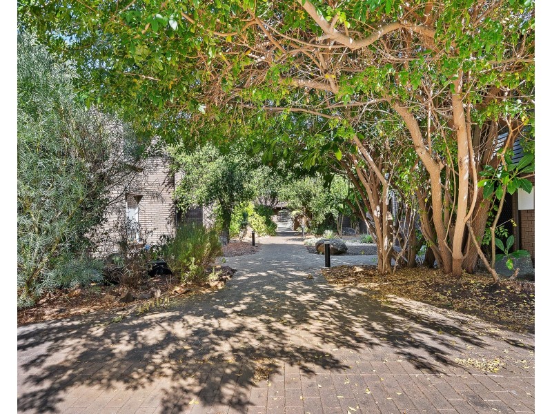 6/323 STIRLING STREET, Highgate WA 6003