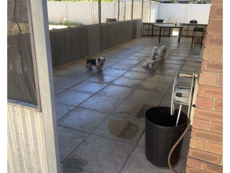 49 CUNNINGHAM LOOP, Mirrabooka WA 6061