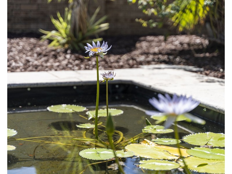 Unit 1/35-37 Waverley Street, Dianella WA 6059