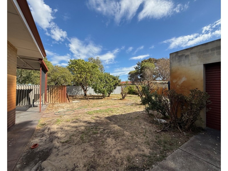 151B Alexander Drive, Dianella WA 6059