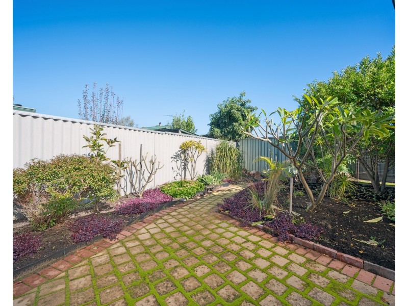 6 Zeil Court, Alexander Heights WA 6064