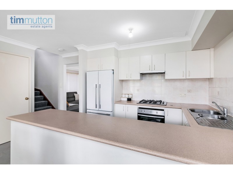 146 Faraday Rd, Padstow NSW 2211