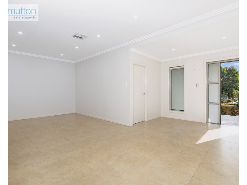 55 Tracey St, Revesby NSW 2212