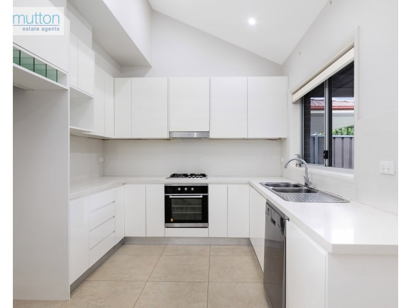 55 Tracey St, Revesby NSW 2212