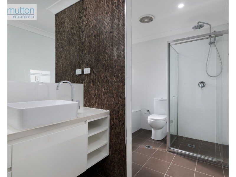 55 Tracey St, Revesby NSW 2212