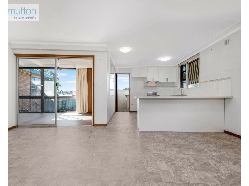 17 Fletcher St, Revesby NSW 2212