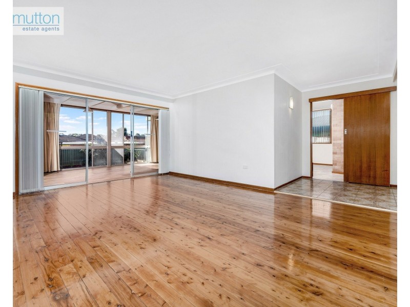 17 Fletcher St, Revesby NSW 2212