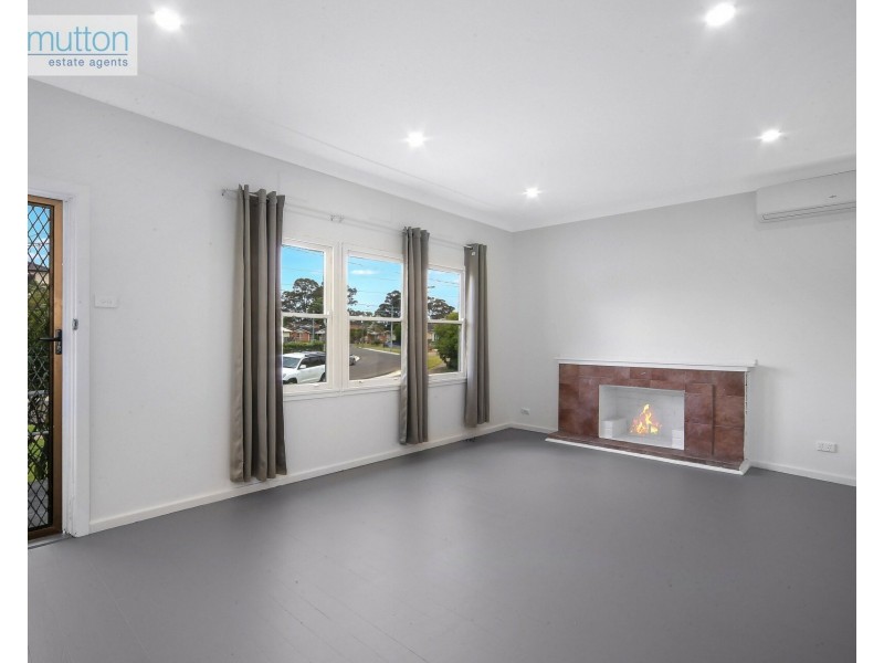 75 Freeman Ave, Canley Vale NSW 2166