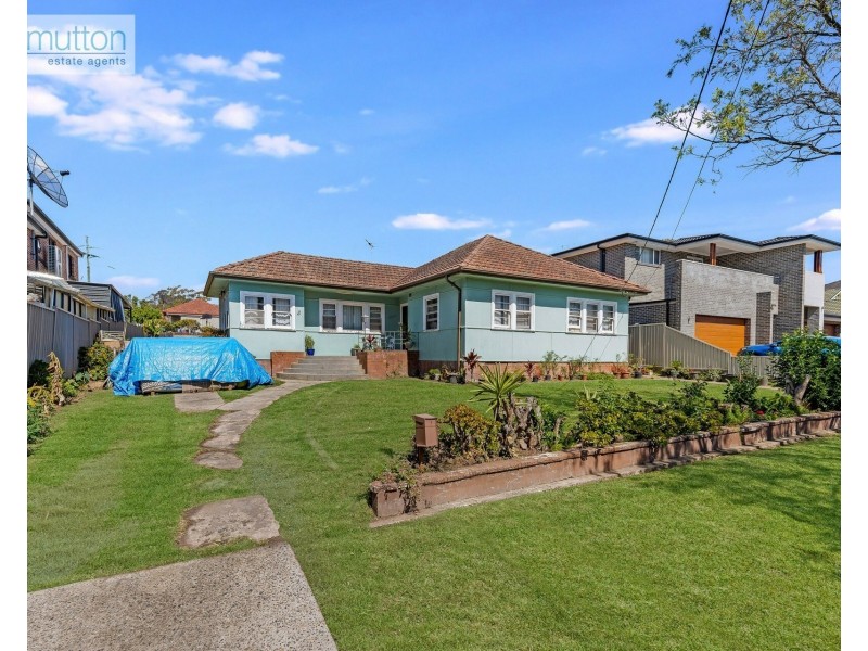 3 Neutral Ave, Birrong NSW 2143