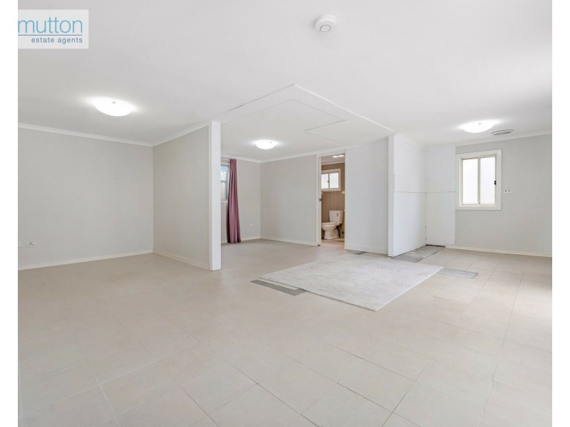 64 Lucas Rd, East Hills NSW 2213